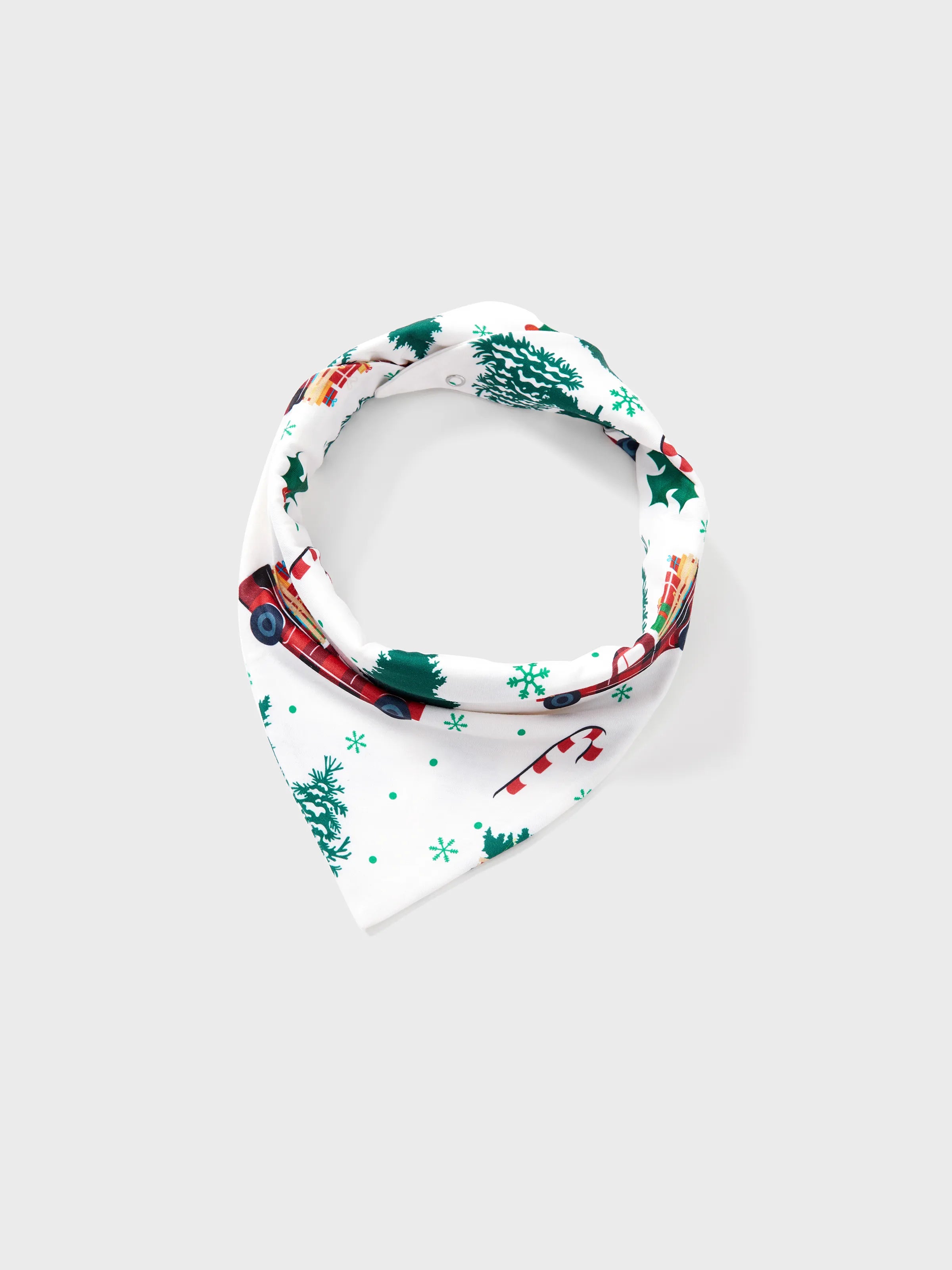 Christmas Matching Family Pyjama Set Santa Claus White - Seoul Glow