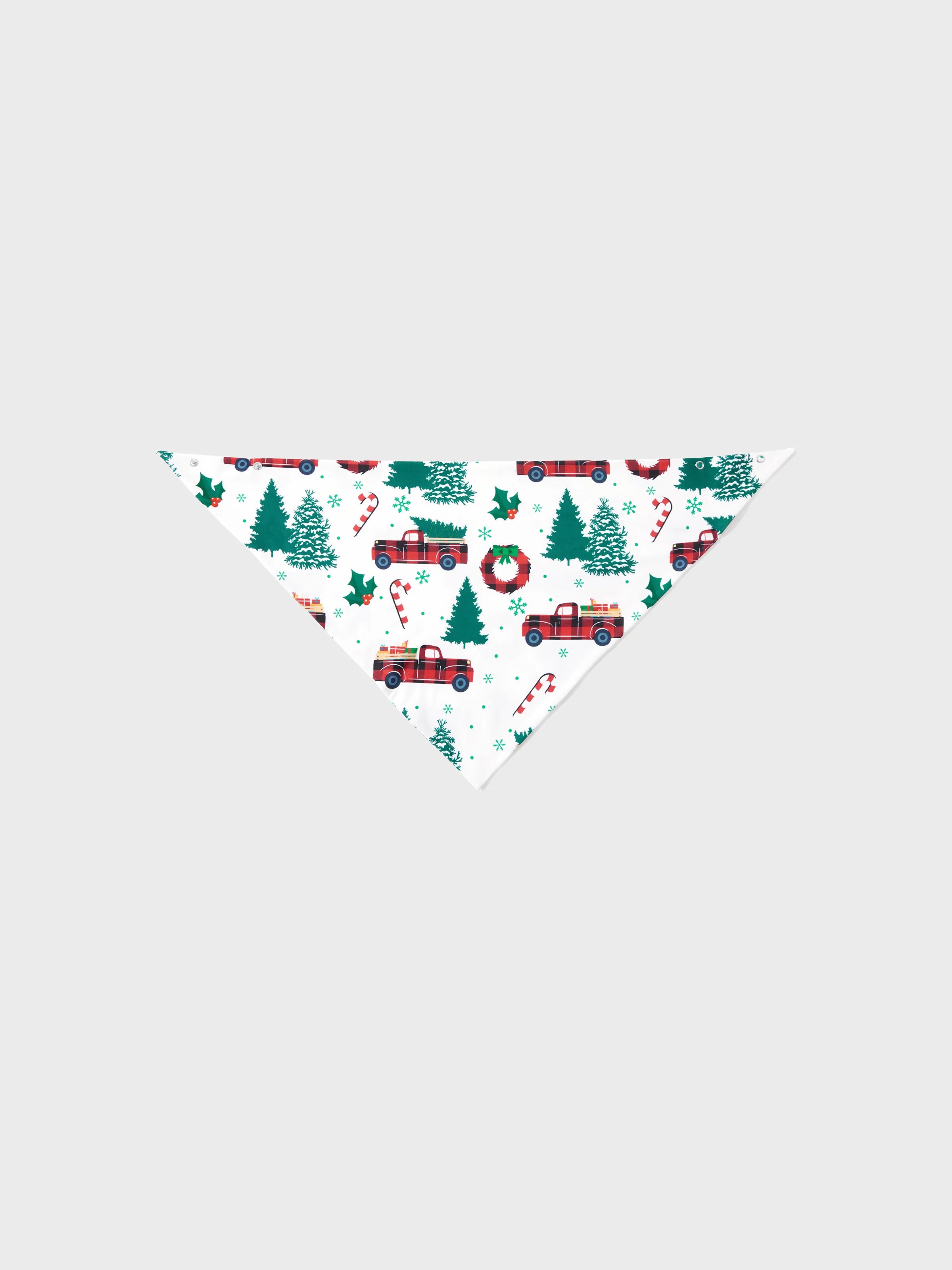 Christmas Matching Family Pyjama Set Santa Claus White - Seoul Glow